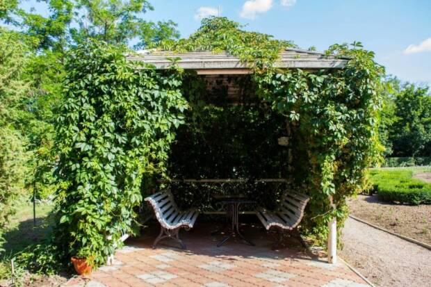 Парк-отель Лиман, услуги кафе. Турагентства, гостиницы, базы отдыха > Базы отдыха, пансионаты, Одесса