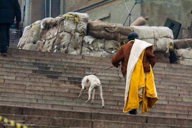 Потёмкинская лестница. Кинотеатры, музеи, театры, выставки > Достопримечательности, Одесса