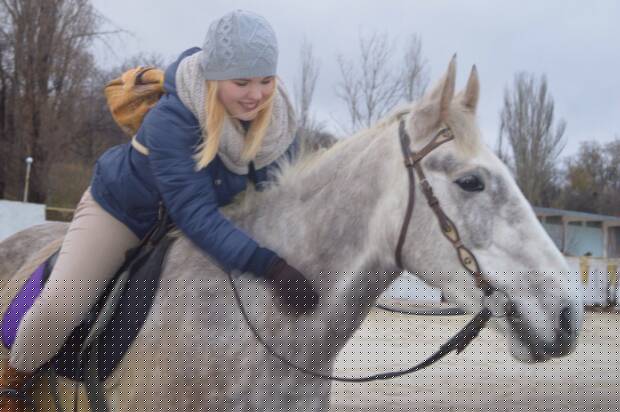 Айвенго, экскурсии по Одессе на лошадях. Активный отдых, экстрим > Конные клубы, Одесса
