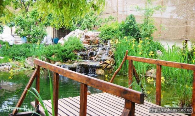 Банная усадьба, сауна, баня. Салоны красоты, солярии, сауны, SPA > Сауны, бани, СПА, Одесса