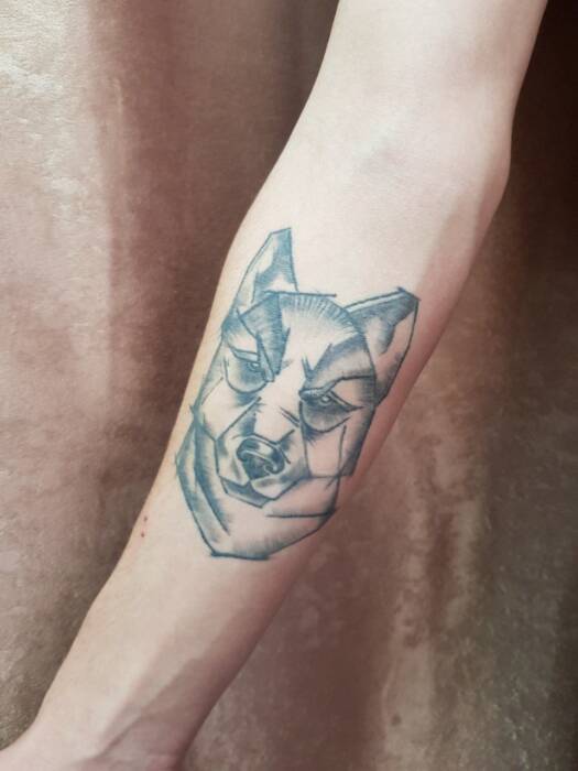 Darth Tattoo Odessa, студия художественной татуировки и перманентного макияжа. Салоны красоты, солярии, сауны, SPA > Тату, татуаж, перманентный макияж, пирсинг, Одесса