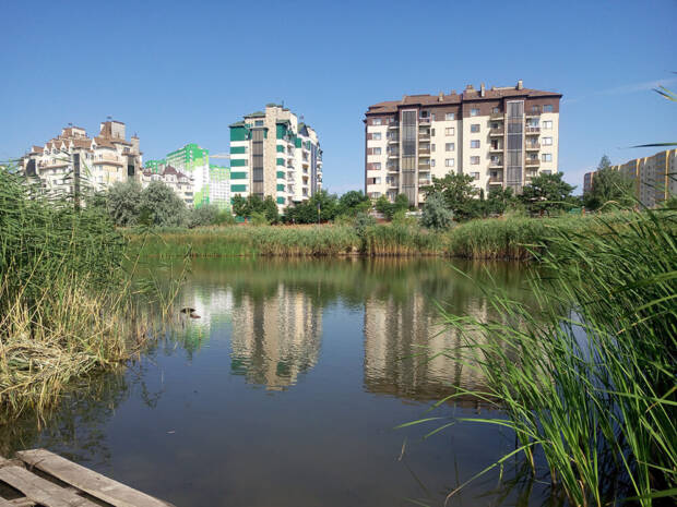 Поскот, Одеса