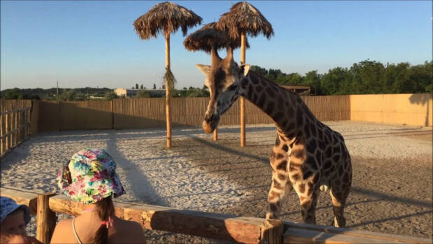 Ленселище, Одеса