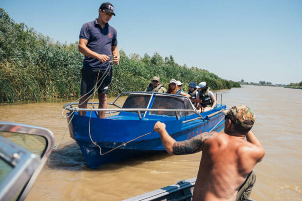 Вилкове