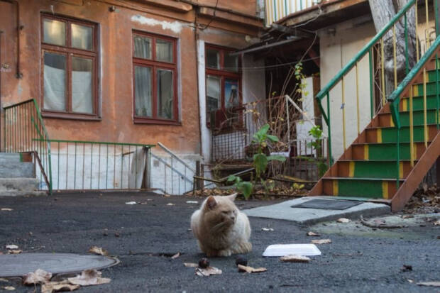 Гімназична вулиця, Одеса