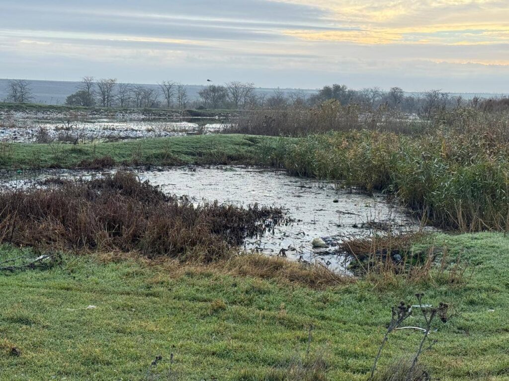 Масштабне забруднення земель у Болграді: відсутність очисних споруд загрожує екології