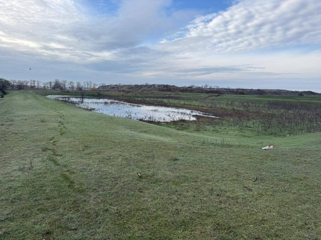 Масштабне забруднення земель у Болграді: відсутність очисних споруд загрожує екології