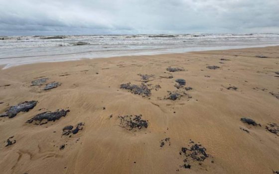 Мазутні плями у Затоці: нове забруднення узбережжя від російських танкерів