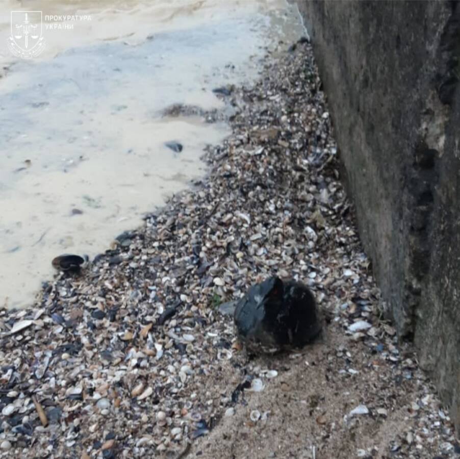 Витік соняшникової олії в Одесі: екологічна катастрофа внаслідок російських атак