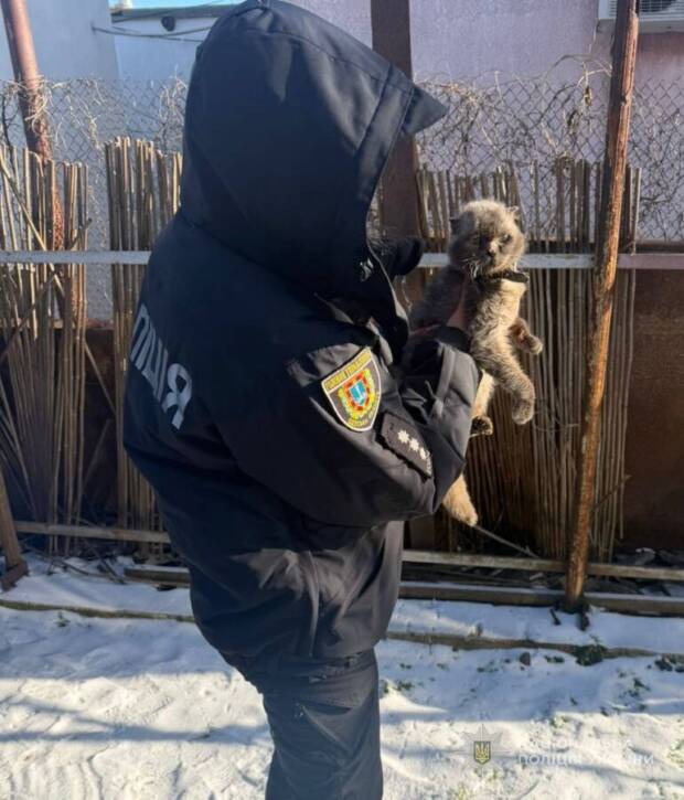 В Одесі жінка тримала на прив'язі котів