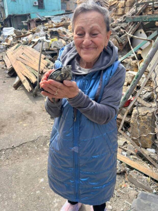 В Одесі під завалами будинку через п’ять днів після обстрілу знайшли живу черепаху